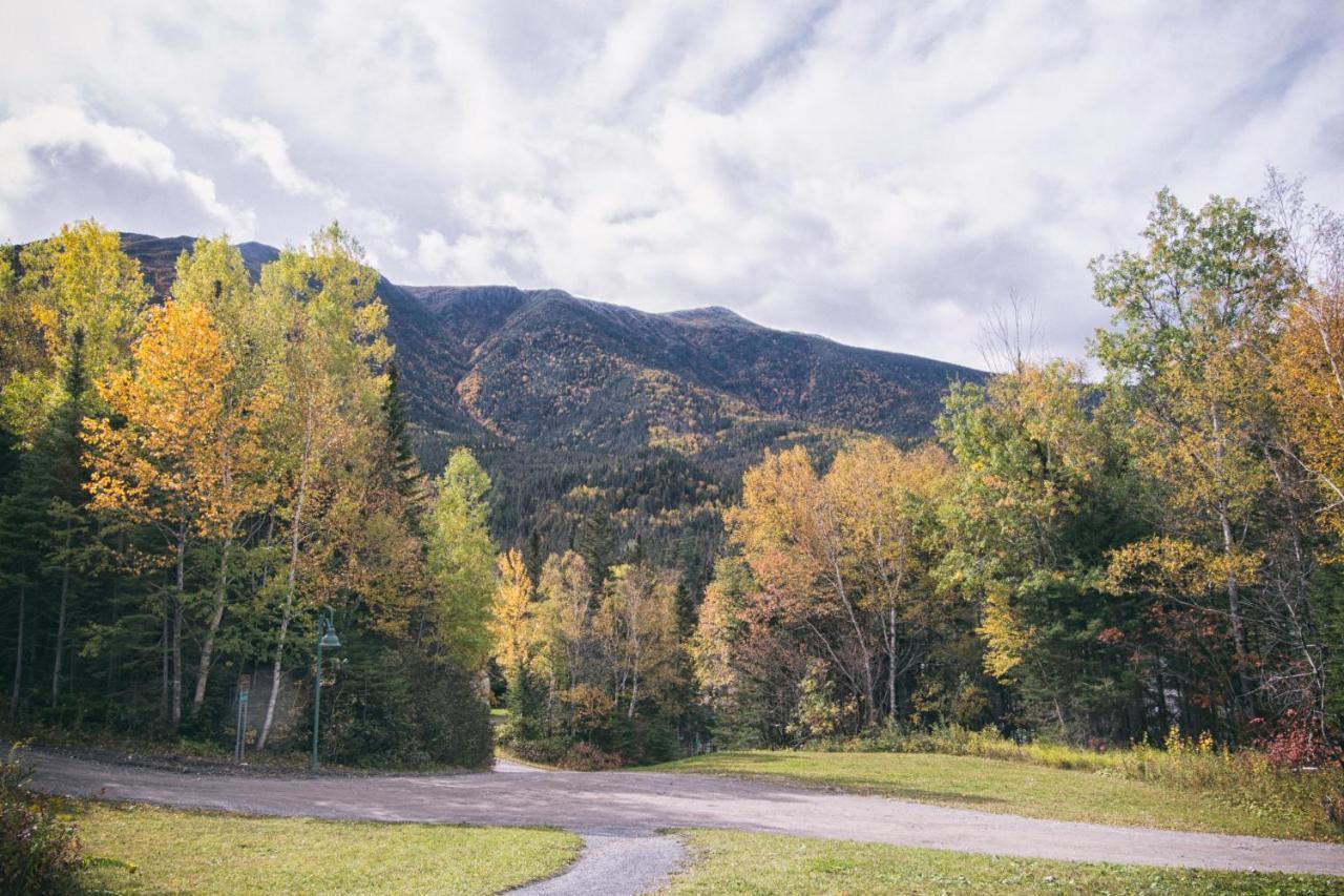 Gite Du Mont-Albert - Sepaq Sainte Anne-des-Chênes Exteriér fotografie