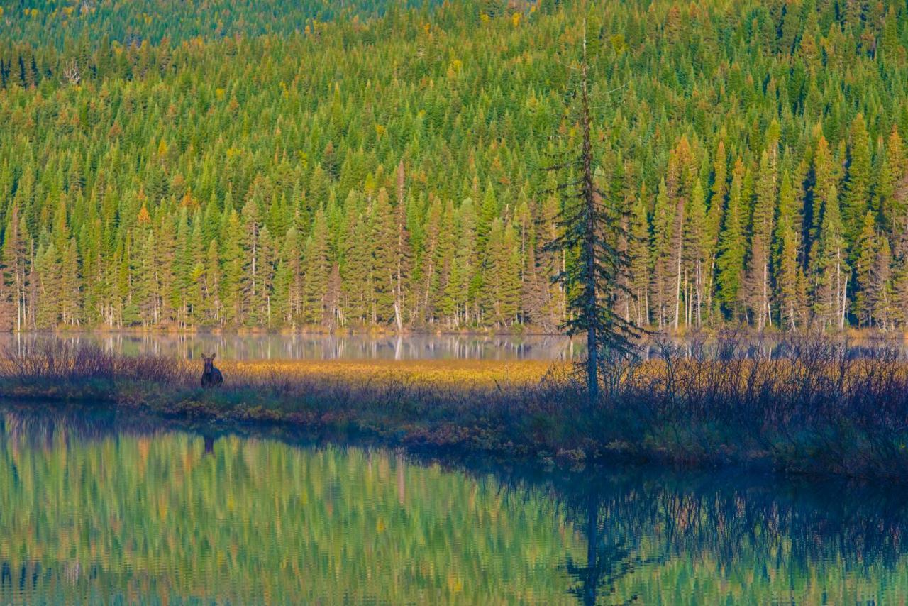 Gite Du Mont-Albert - Sepaq Sainte Anne-des-Chênes Exteriér fotografie