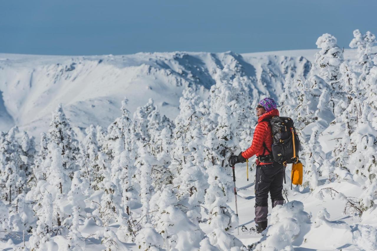 Gite Du Mont-Albert - Sepaq Sainte Anne-des-Chênes Exteriér fotografie